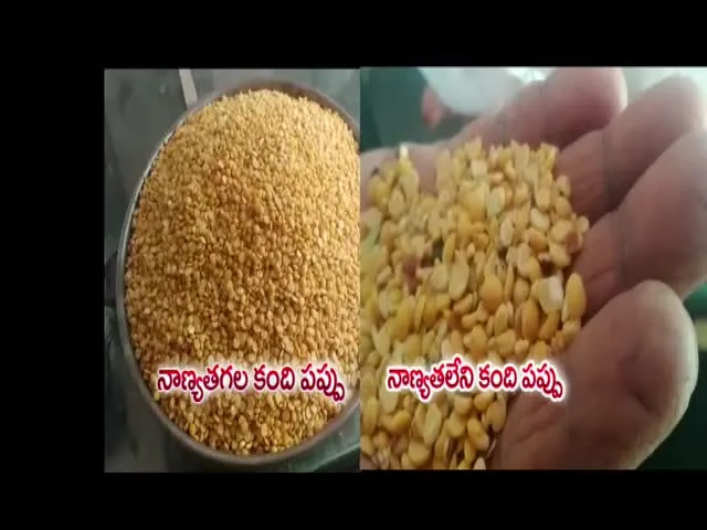 No Quality Of Toor Dal in Ration Shop