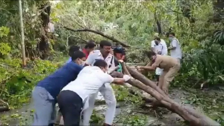 Sourav Ganguly Praise Kolkata Police He Shift fallen Trees Cyclone Amphan - Sakshi