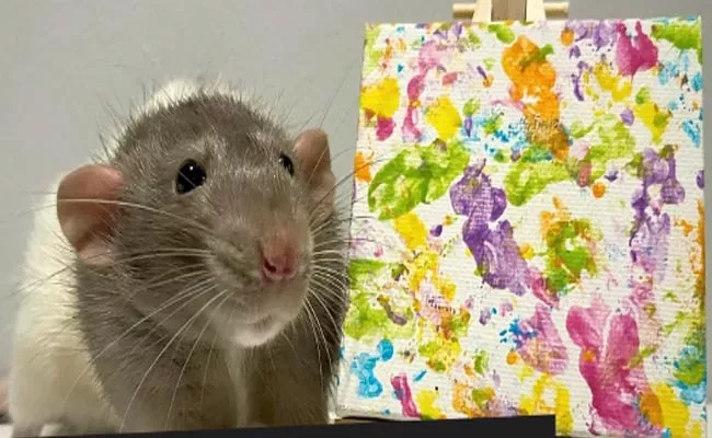 Viral: Rat painting Have Earned Over 1000 Pounds - Sakshi