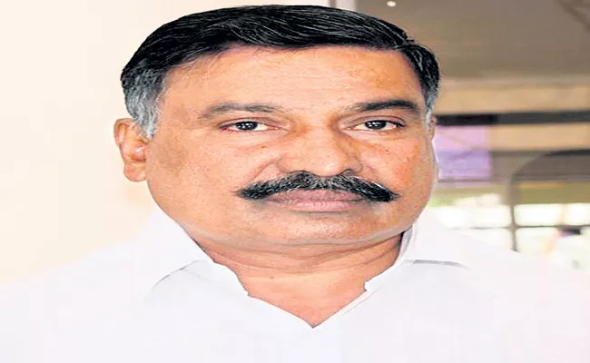 Peddireddy Ramachandra Reddy Comments On LED Street Lights - Sakshi