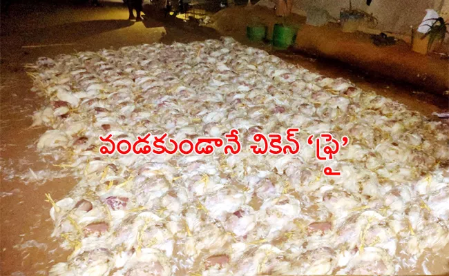 Poultry Industry Loss With Sunstroke West Godavari - Sakshi