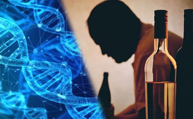 Alcoholism Could be Genetic: Study - Sakshi