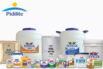 Pidilite group company Vinyl chemicals zoom - Sakshi