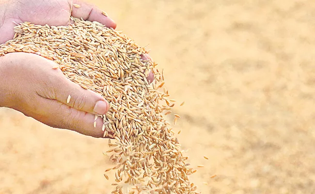 Telangana In Number One Position In Yasangi Grain Collection - Sakshi