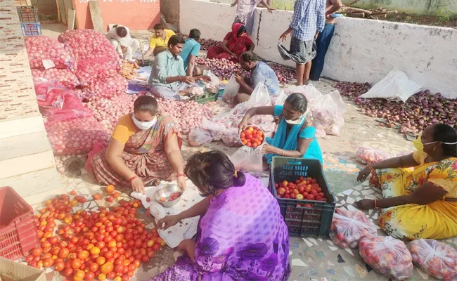 NRIs Tomato Challange For Poor People SPSR Nellore - Sakshi