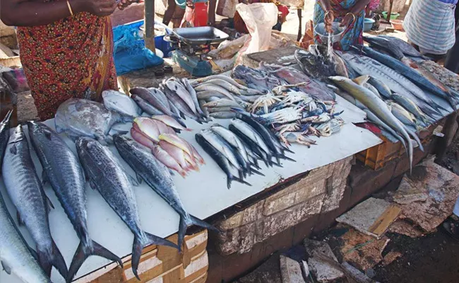 Coronavirus lockdown: Chennai Cop offer fish for Old Woman - Sakshi