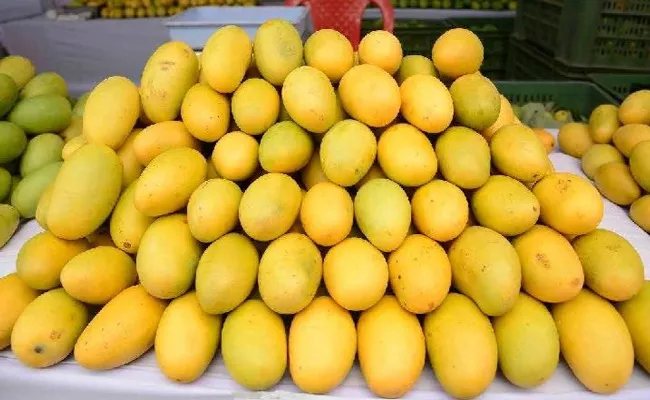 Banganapalli Mangoes exported to London - Sakshi