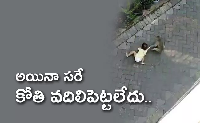 Viral Vedio:  Monkey Riding A Bike Grabs Toddler - Sakshi