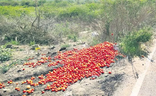 Lockdown: Tomato Farmers Loss Due To Low Price - Sakshi