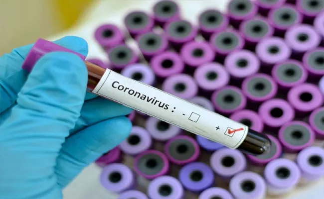 Mother And Daughter Infected With Coronavirus With In 2days In Warangal - Sakshi