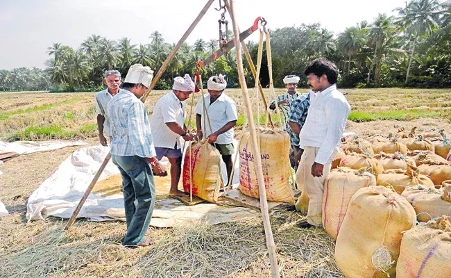 AP Govt reforms to the purchase of crops - Sakshi