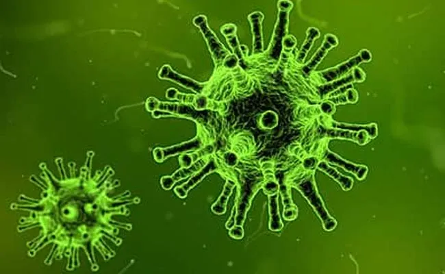 Coronavirus Recovery Rate Increasing In Andhra Pradesh - Sakshi