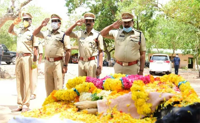 Police Dog Raja Deceased In Krishna District - Sakshi