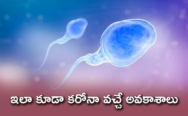 CoronaVirus Found In Seman samples Say China Researchers Report - Sakshi