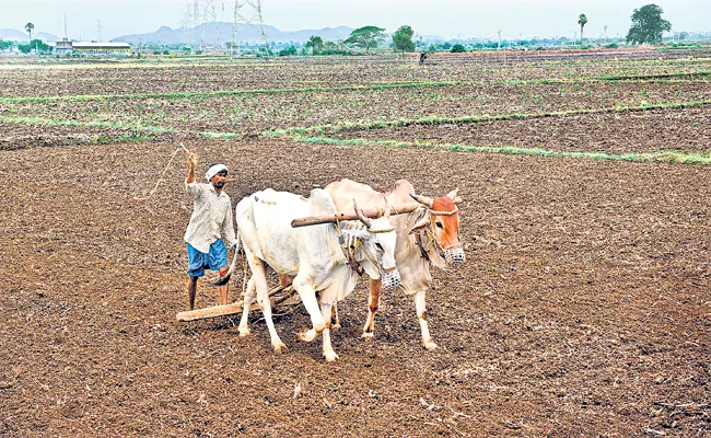 Cultivation is much larger than the last Kharif cultivation in AP - Sakshi