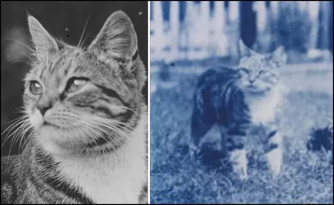 YouTuber Mathieu Stern Develops 120 Year Old Photos - Sakshi