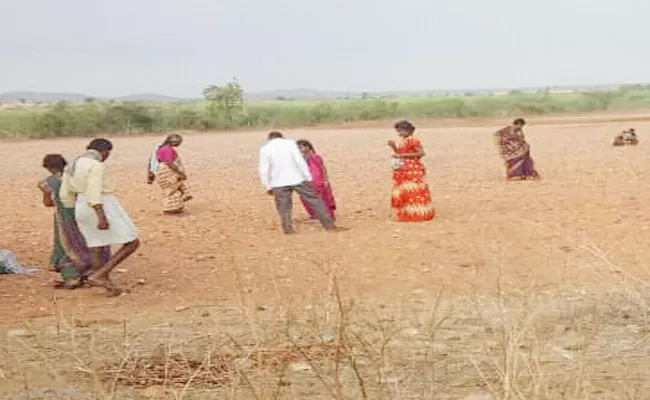 Farmers Searching Diamonds in Crop Lands Kurnool - Sakshi