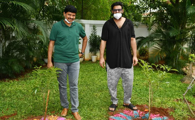 Green India Challenge: Prabhas Plant Saplings With Santhosh Kumar - Sakshi