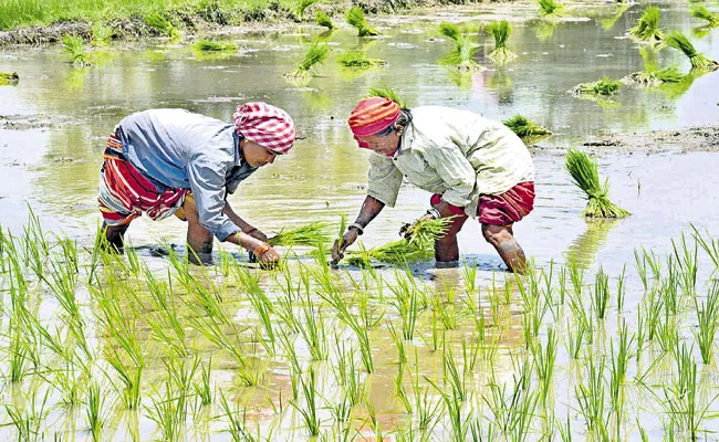 Heavy Rain Across Telangana - Sakshi