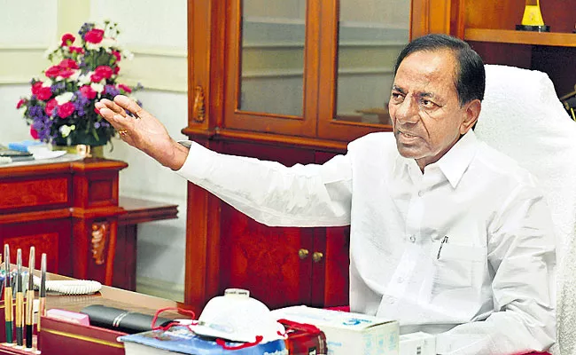 KCR Holds Review Meeting On Locust Threat In Telangana - Sakshi