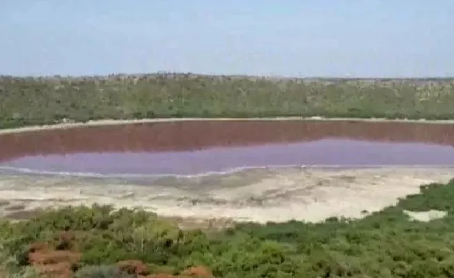 A Lonar Lake Turned Pink Overnight In Maharashtra - Sakshi