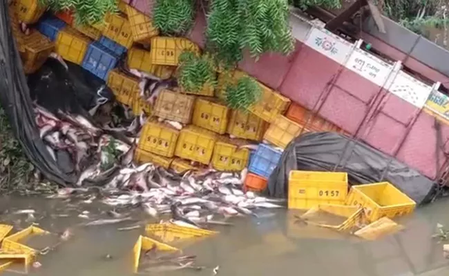 Fish Load Lorry Roll Overed in Bheemavaram West Godavari - Sakshi