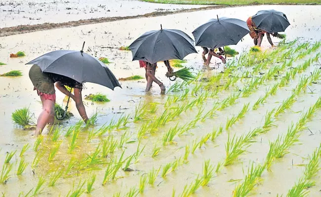 Telangana Farmers Keeping More Expectations On Raining Season - Sakshi