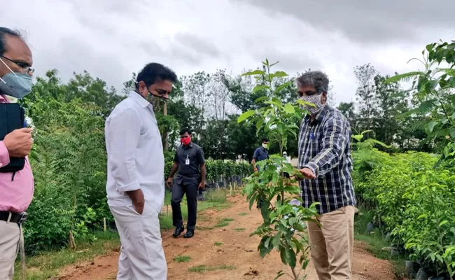 Minisater KTR Checks Shamshabad HMDA Nursery Plants At Hyderabad - Sakshi