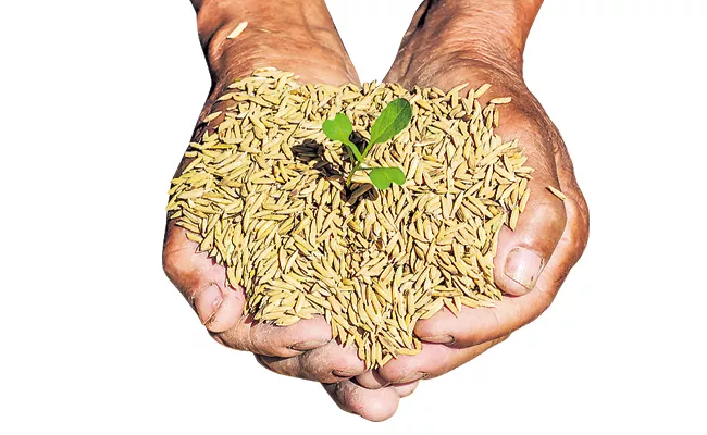 Seeds Supply to Farmers before the season - Sakshi