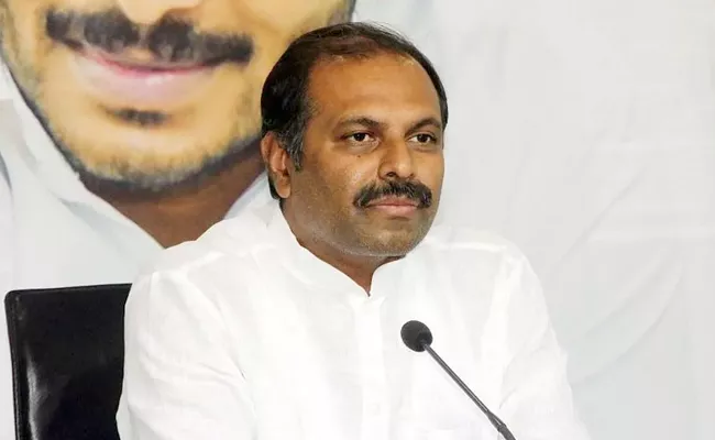 AP Govt Chief Whip Gadikota Srikanth Reddy Fires On TDP - Sakshi