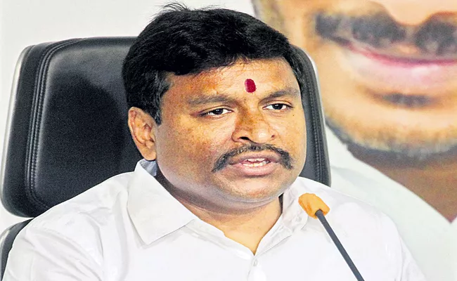 Vellampalli Srinivas Fires On TDP And Chandrababu - Sakshi