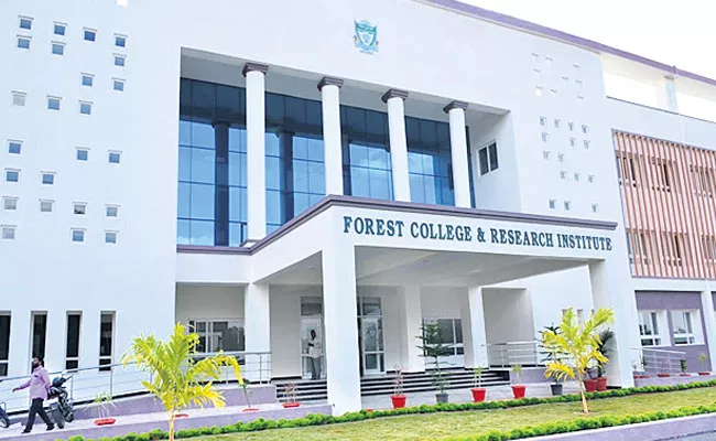 Telangana Forest Colleges Have A+ Recognition - Sakshi