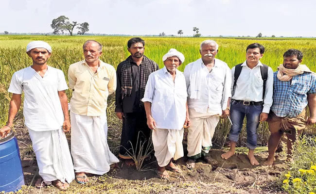 Athota Farmer Agriculture Indigenous rice Crops - Sakshi