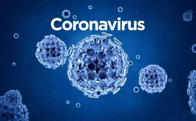 India Records 6 Lakh Coronavirus Cases By July 1: US Researcher - Sakshi