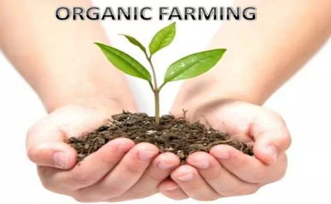 Online training on organic farming - Sakshi