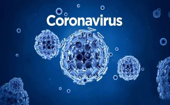 Recovery rate of corona virus COVID-19 cases in India - Sakshi