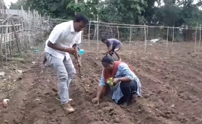 Araku MP oddeti Madhavi busy in sowing seeds In Field - Sakshi