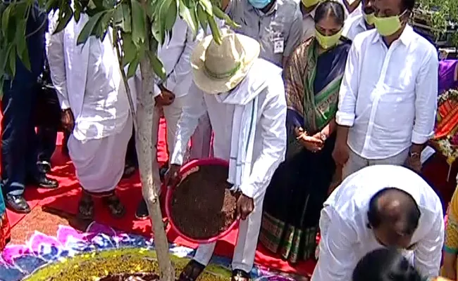 CM KCR launches Sixth Phase Of Haritha Haram Program In Narsapur - Sakshi