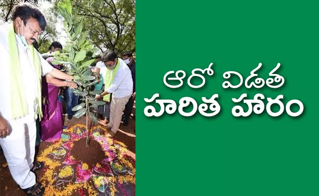 Minister KTR Participated In Haritha Haram Program - Sakshi