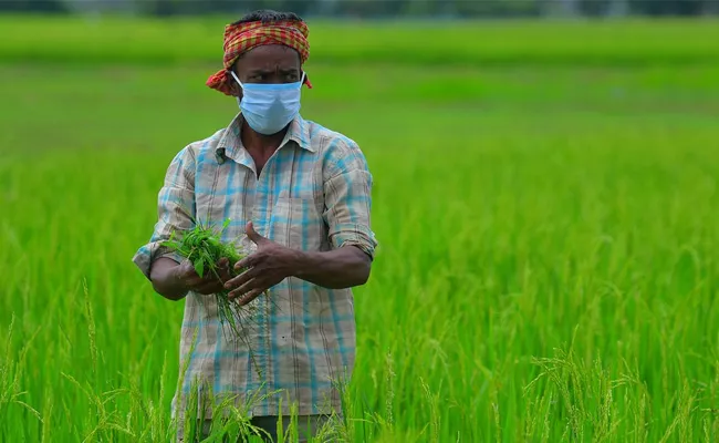 596.36 Crore Payment Of Crop Insurance Proceeds By Ap Government - Sakshi