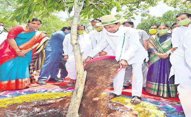 CM KCR Launches Sixth Phase Haritha Haram Program Narsapur In Medak District - Sakshi