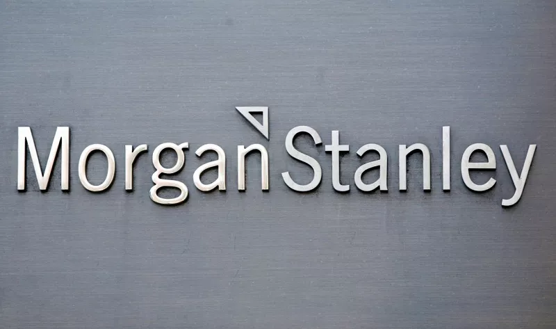 Morgan Stanley says use swings in Indian equities to buy dips - Sakshi