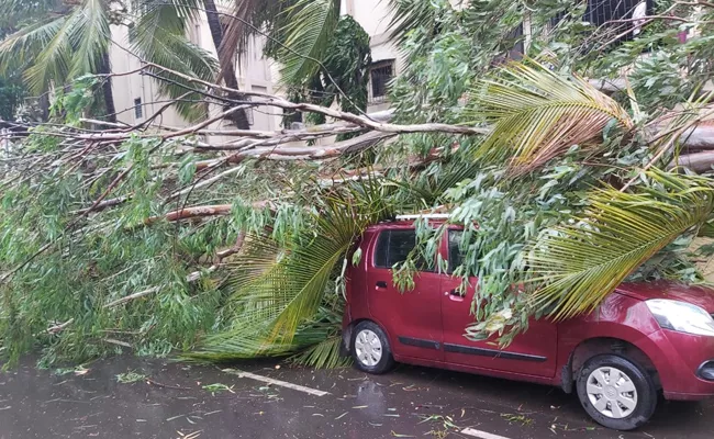 Nisarga Cyclome Strikes At Alibaugh Near Mumbai - Sakshi