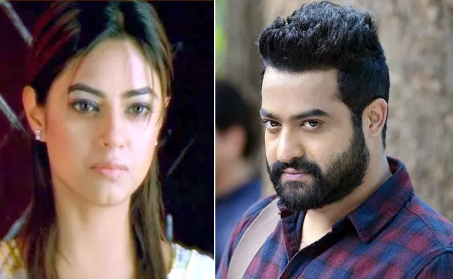 Meera Chopra Get Threats: Police Registered Cases On Jr NTR Fans - Sakshi