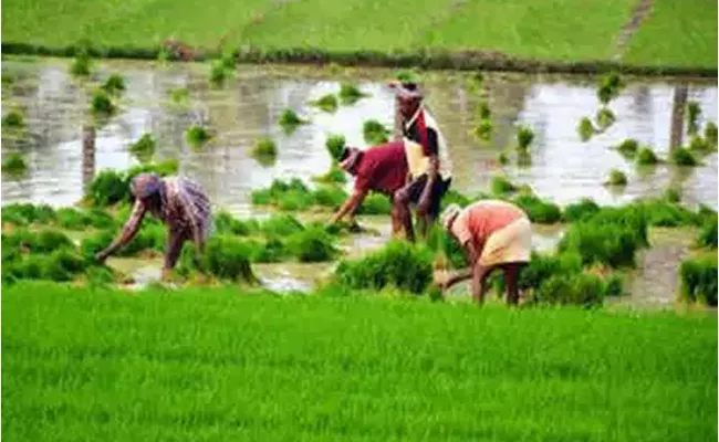 Government hikes Minimum Support Price For Key Kharif Crops - Sakshi