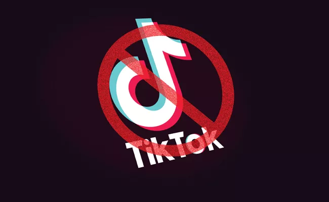 Indian Government Bans China Apps Including Tiktok - Sakshi