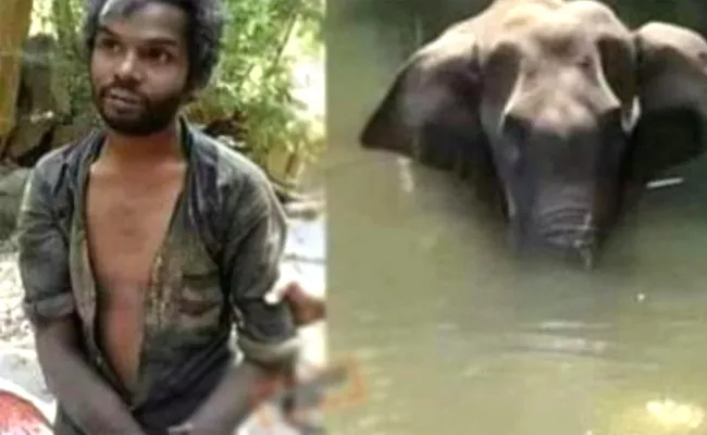 Pregnant Elephant Murder: This Man Is Not The Killer - Sakshi