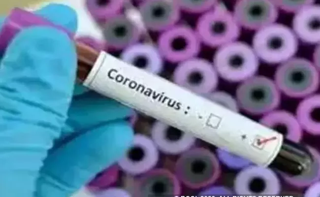 Coronavirus In Telangana Cross 3000 Mark - Sakshi