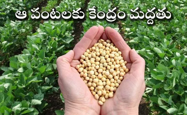 Support price For Soya Crops Nizamabad - Sakshi