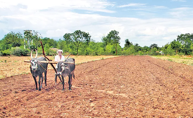 Andhra Pradesh Farmers Celebrate Eruvaka Pournami - Sakshi